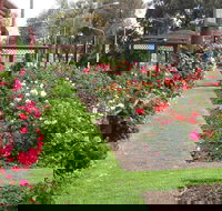 Cowra Rose Garden - Accommodation in Bendigo