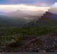 Cunninghams Gap and Spicers Gap Main Range National Park - Accommodation in Bendigo