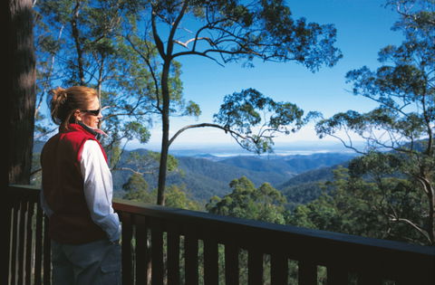 D'Aguilar National Park - Accommodation in Bendigo 0