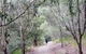 D'Aguilar National Park - thumb 2
