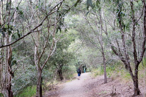 D'Aguilar National Park - Accommodation in Bendigo 2