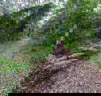 Double Wharf Trail - Accommodation in Bendigo