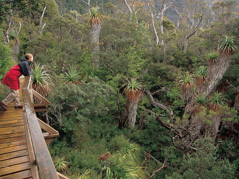 Dove Lake - Accommodation in Bendigo 1