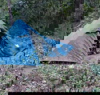 England Creek Bush Camp - Accommodation in Bendigo