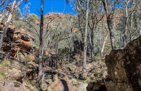 Eualdrie Walking Track - Accommodation in Bendigo 0