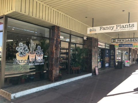 Fancy Plants - Accommodation in Bendigo 1