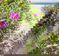 Fort Bribie - Accommodation in Bendigo