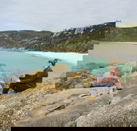 Foster - Accommodation in Bendigo