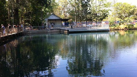 Howard Springs Nature Park - Accommodation in Bendigo 1