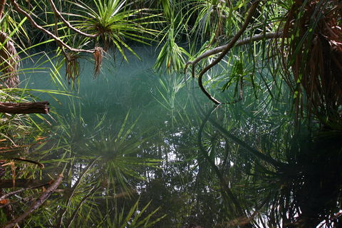 Howard Springs Nature Park - Accommodation in Bendigo 2