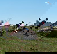 Jim Salmon  Wetland Education Site - Accommodation in Bendigo