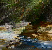 Jumrum Creek Walk Jumrum Creek Conservation Park - Accommodation in Bendigo