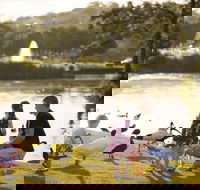 Lake Alford Recreational Park - Accommodation in Bendigo