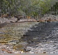 Lake Rowallan - Accommodation in Bendigo