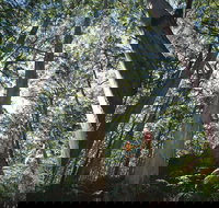 Leeuwin-Naturaliste National Park - Leeuwin - Accommodation in Bendigo