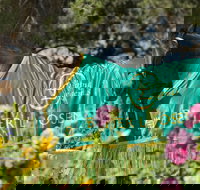 Living Legends The International Home of Rest for Champion Horses - Accommodation in Bendigo