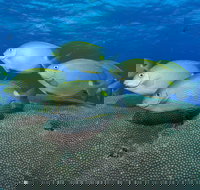 Lodestone Reef - Accommodation in Bendigo