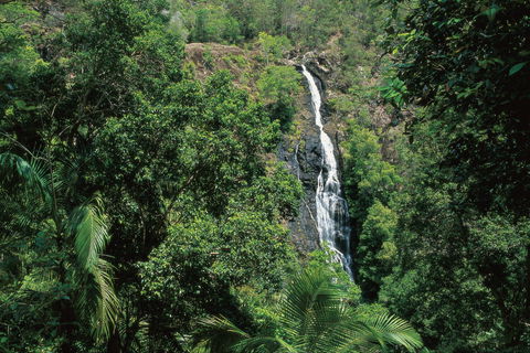 Mapleton Falls National Park - Accommodation in Bendigo 0