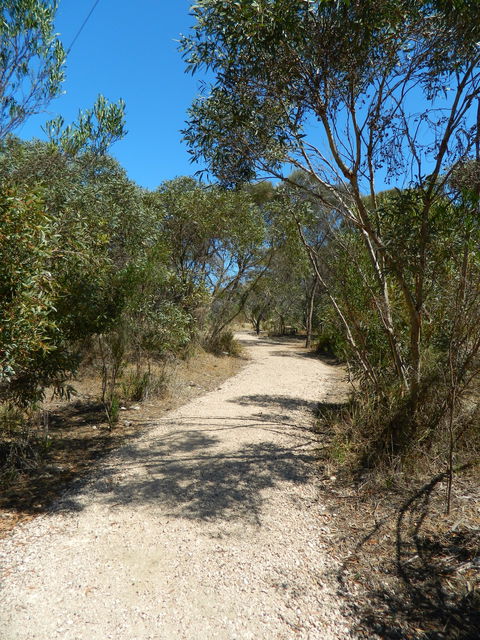 Meningie Lions Walking Trail - Accommodation in Bendigo 2