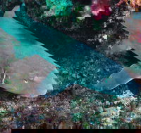 Middle Reef Dive Site - Accommodation in Bendigo