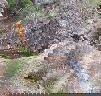 Mill-bullah Walking Track - Accommodation in Bendigo