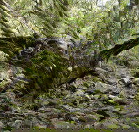 Mitchell River Walking Track - Accommodation in Bendigo