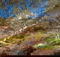 Mount Grenfell Historic Site