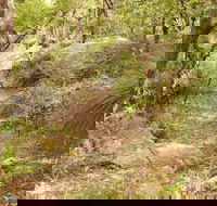 Mount Carnarvon Walking Track - Accommodation in Bendigo