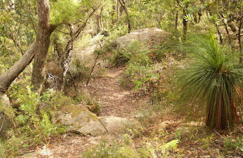 Mount Carnarvon Walking Track - Accommodation in Bendigo 0