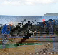 Port Vincent Putt Putt - Accommodation in Bendigo