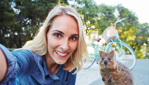 Rottnest Island - Accommodation in Bendigo 1