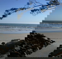 Shark Bay - Accommodation in Bendigo