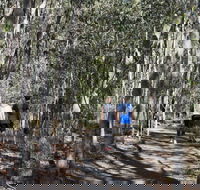 Six Mile Creek Bluff Lookout and Little White Rock Trails - Accommodation in Bendigo