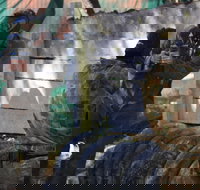 Skirmish Sunshine Coast Outdoor Paintball - Accommodation in Bendigo