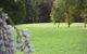 Springwood Country Club - thumb 0