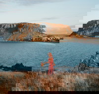 The Nut - Accommodation in Bendigo