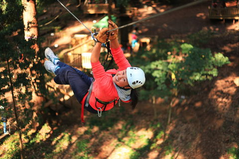 Trees Adventure - Glen Harrow Park - Accommodation in Bendigo 0