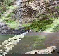 Twin Falls Circuit Springbrook National Park - Accommodation in Bendigo