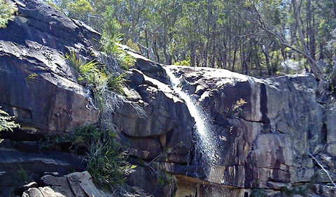 Ugly Corner Falls Walking Track - Accommodation in Bendigo 0