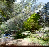 Wadbilliga Road drive - Accommodation in Bendigo