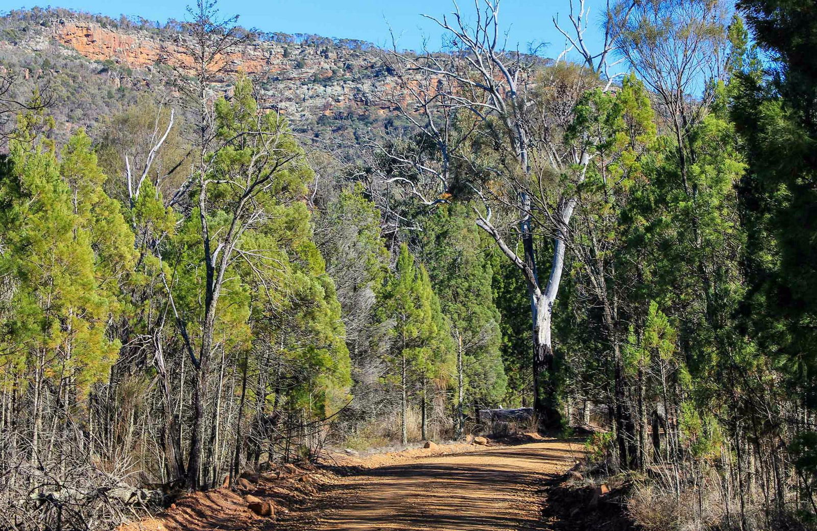  Accommodation in Bendigo