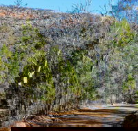 Weddin Gap to Black Spring Loop Trail - Accommodation in Bendigo