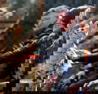 Werribee Open Range Zoo - Accommodation in Bendigo