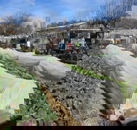 Wynlen House Tour a Unique Urban Regenerative Farm and Market Garden - Accommodation in Bendigo