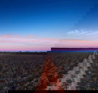 Yanga National Park - Accommodation in Bendigo