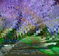 Alowyn Gardens and Nursery - Accommodation in Bendigo