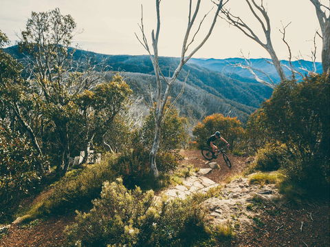 Australian Alpine Epic Mountain Bike Trail - Accommodation in Bendigo 1