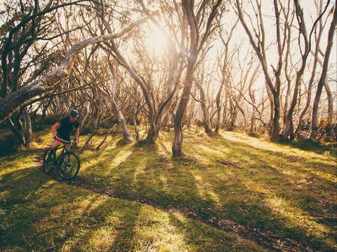Australian Alpine Epic Mountain Bike Trail - Accommodation in Bendigo 2