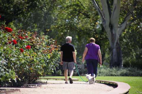 Benalla Botanical Gardens - Accommodation in Bendigo 1