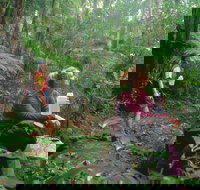 Binna Burra Lamington National Park - Accommodation in Bendigo